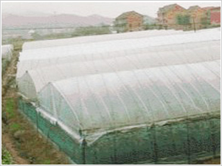 ���x����